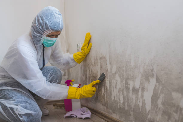 Best Crawl Space Mold Removal  in Mckinley, PA
