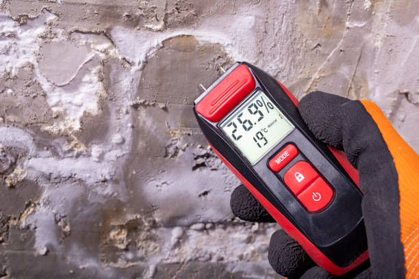 Best Office Mold Removal Services  in Mckinley, PA