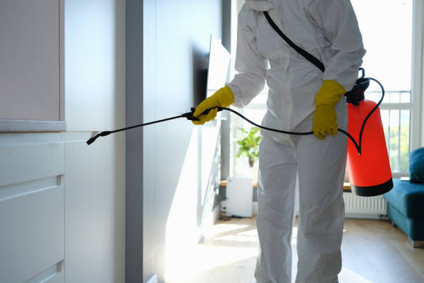 Best Water Damage Restoration  in Mckinley, PA
