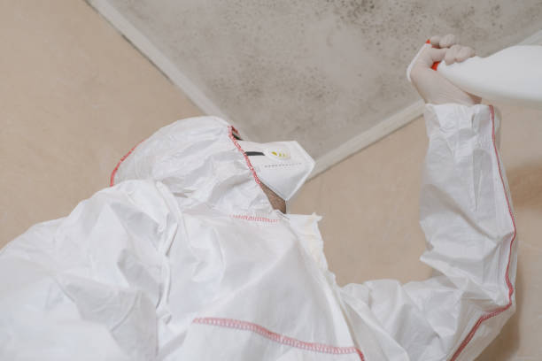 Trusted Mckinley, PA Mold Removal Experts
